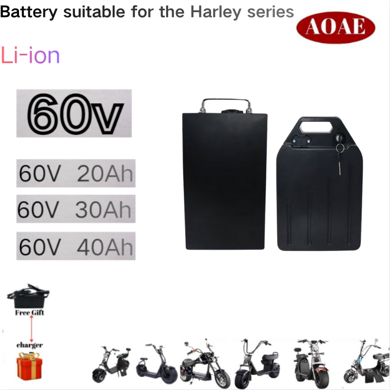 60V 30Ah Electric Scooter Battery - Voor Harley Batterij 60V 20Ah 30Ah
