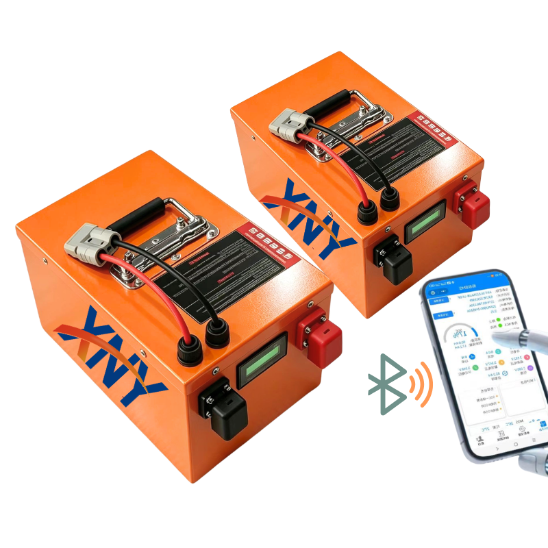 100Ah 60V 60Ah 80Ah 30Ah 60V 4 - 72V 60Ah Lifepo4 Battery Pack recensie en prijs