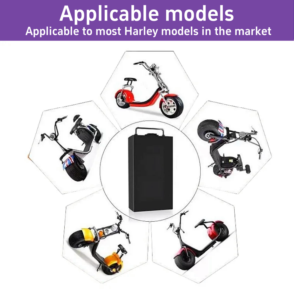 60V voor Harley Elektrische Vo - 60V 30Ah Electric Scooter Battery recensie en prijs